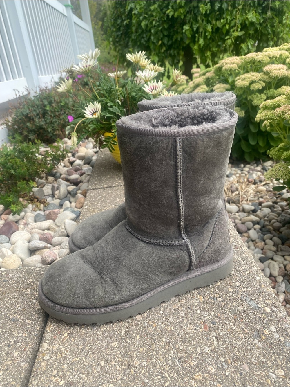 UGG Women's Short Winter Boots in Gray Suede